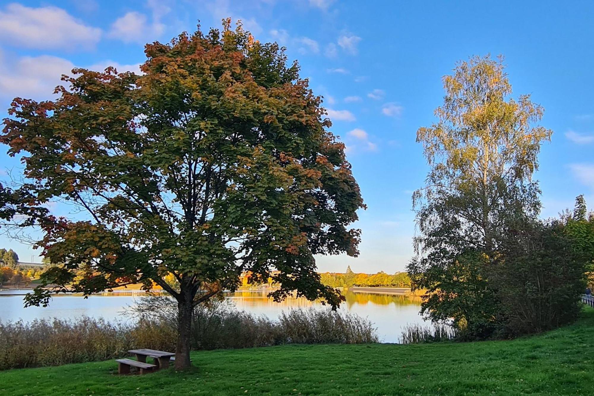 Draussen Am See ロースハイム エクステリア 写真