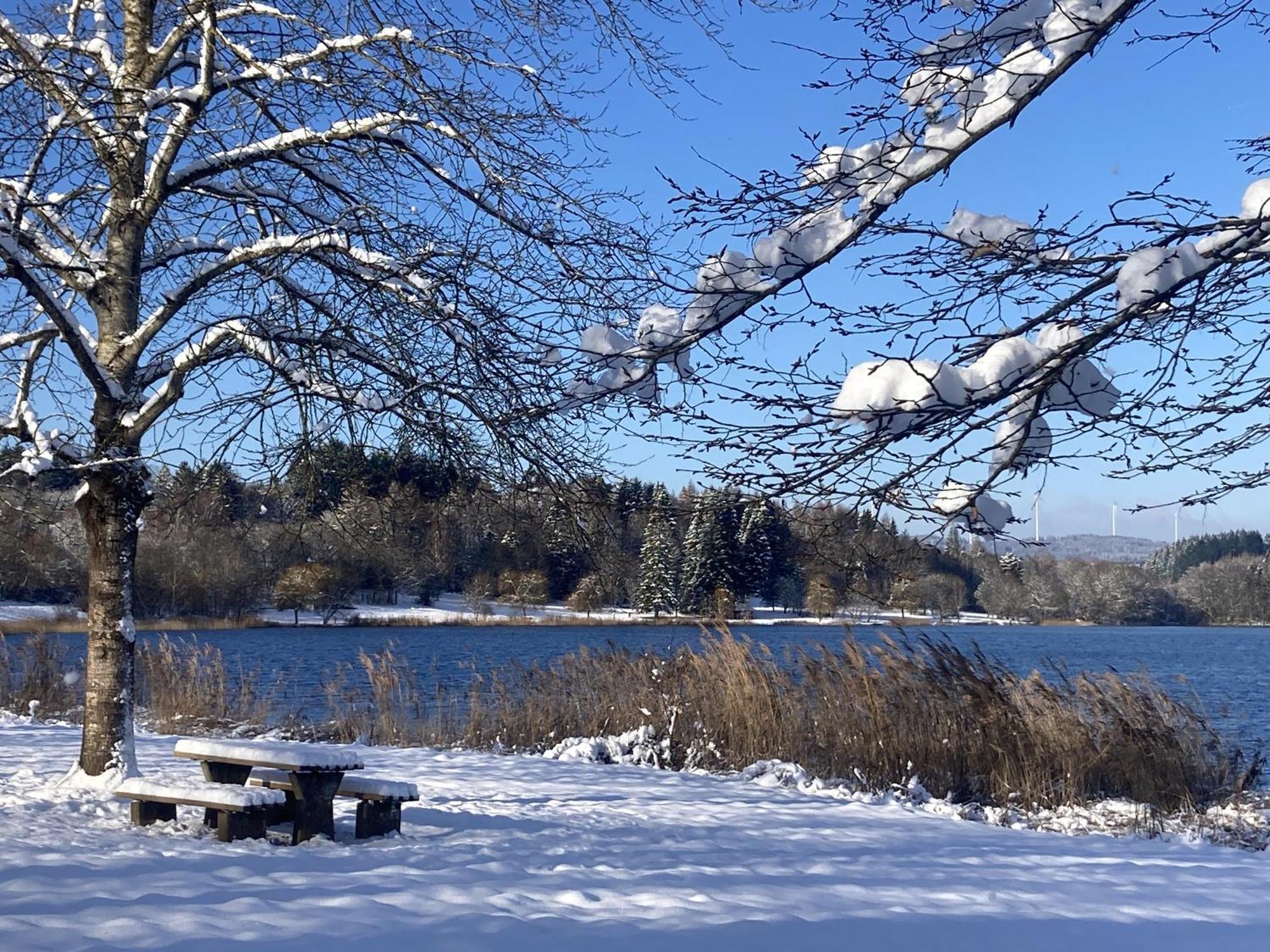 Draussen Am See ロースハイム エクステリア 写真